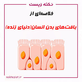 تدریس و خلاصه ای از بافت های بدن انسان زیست دهم