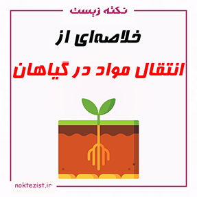 تدریس و خلاصه ای از انتقال مواد در گیاهان فصل هفتم زیست دهم