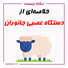 تدریس و خلاصه ای از دستگاه عصبی جانوران زیست شناسی یازدهم فصل یک