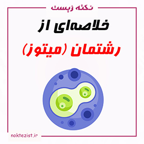 تدریس و خلاصهای رشتمان (میتوز) فصل شش زیست یازدهم