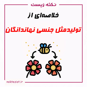 تولید مثل نهاندانگان زیست یازدهم