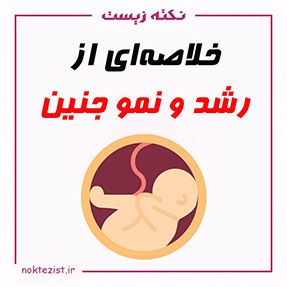 رشد و نمو جنین زیست یازدهم نکات کنکوری و مهم