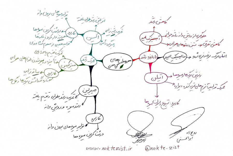 نقشه ذهنی هورمون های گیاهی زیست یازدهم