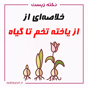 نکات کنکوری و مهم از یاخته تخم تا گیاه