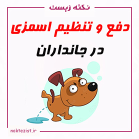 نکات کنکوری و مهم تنوع دفع و تنظیم اسمزی در جانداران زیست دهم