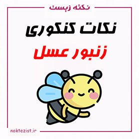 نکات مهم کنکوری زنبور عسل