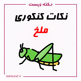 نکات مهم کنکوری ملخ