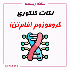 نکات مهم کنکوری کروموزوم (فام تن) زیست یازدهم